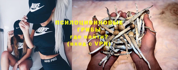 тгк Володарск