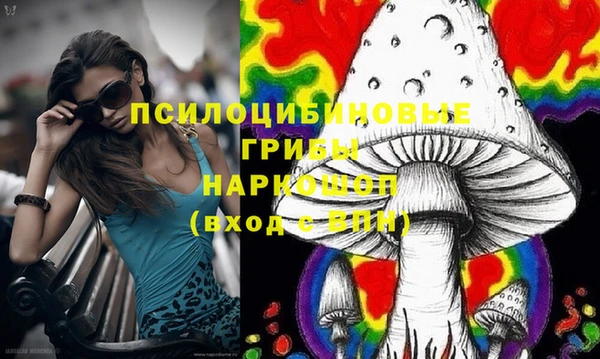хмурый Волосово