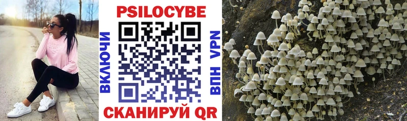 Галлюциногенные грибы Psilocybine cubensis Альметьевск